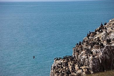 新作《F1 23》将拥有VR模式 但并不支持PSVR2设备